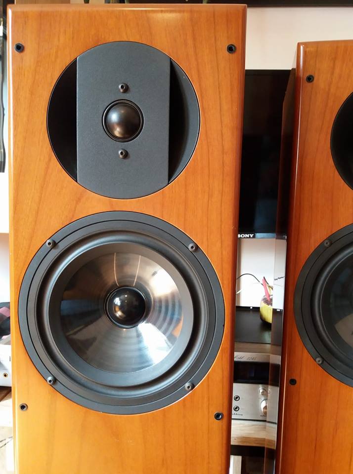 Vienna Acoustics Bach Grand VJ-1BG（左） Vienna Acoustics Bach Grand VJ-1BG（左） Vienna Acoustics