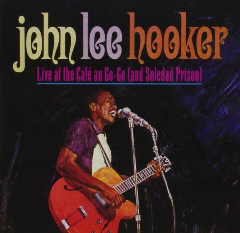 John Lee Hooker Live.jpg