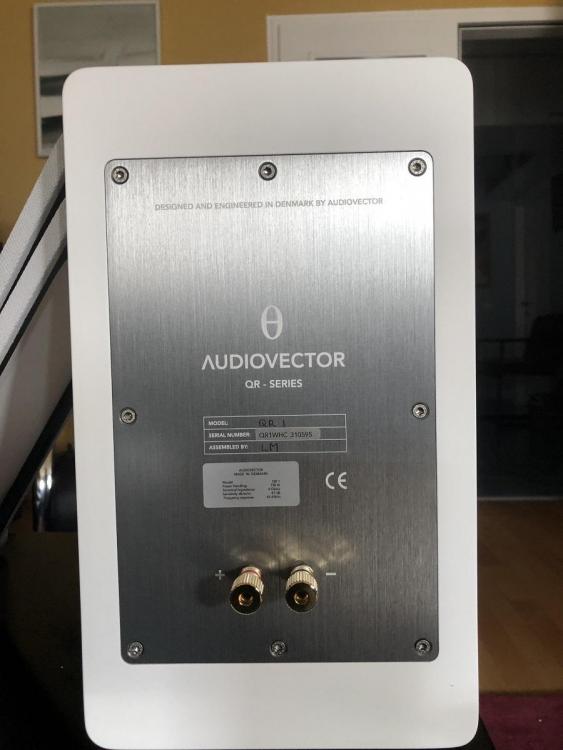 Audiovector QR1 otpozadi.jpg