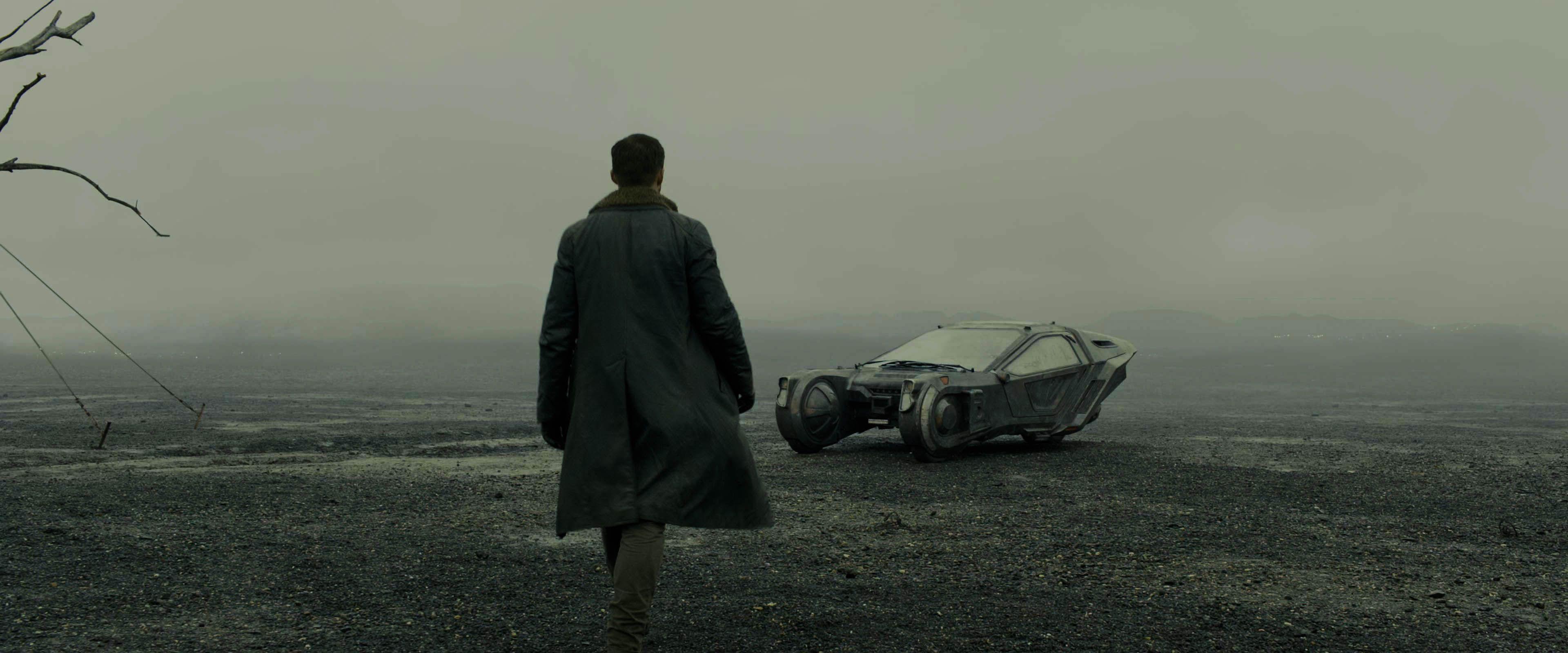 Бегущий по лезвию 2049 фото из фильма