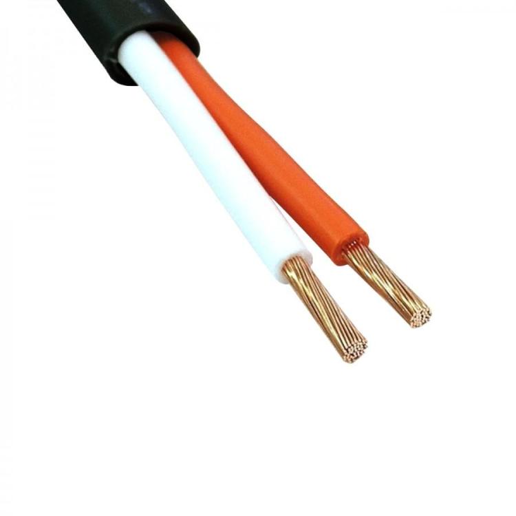 canare-2s11f-speaker-cable-copper-2x362mm-o11mm.jpg