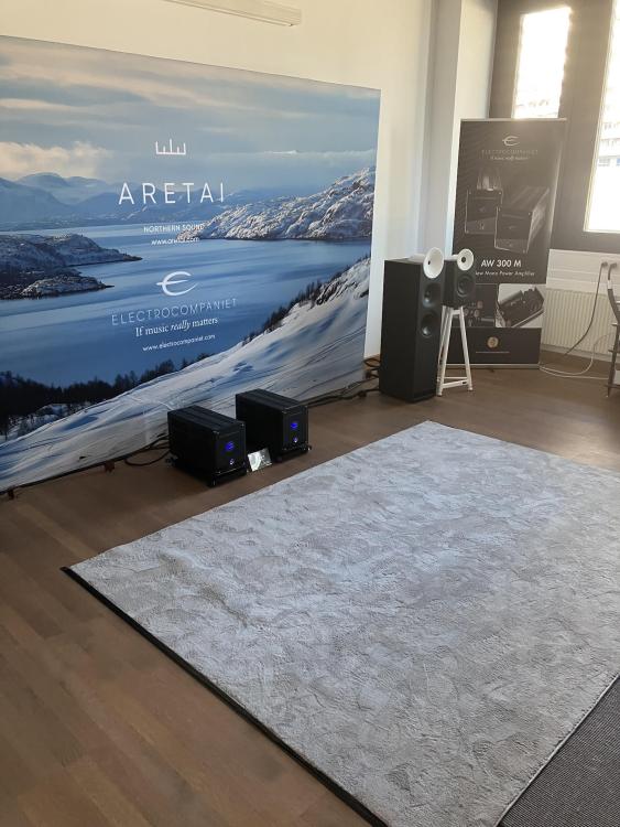 Aretai+Electrocompaniet.JPG