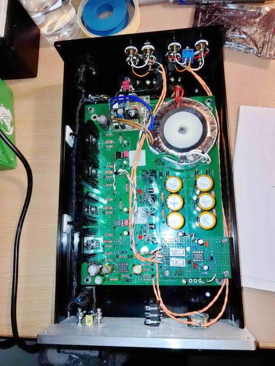 Whammy Headamp 1.jpg
