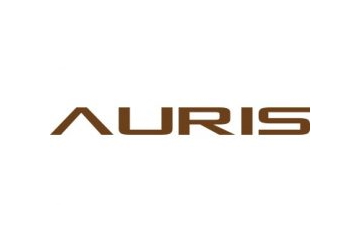 img-AURIS-LOGO-XXL-260x170.jpg